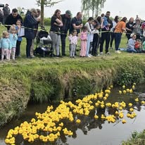 Image of ducks in water for the Stotfold Duck Race 26 April 2025.